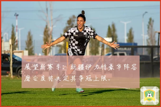 展望新赛季：新疆伊力特豪华阵容磨合度将决定其争冠上限。