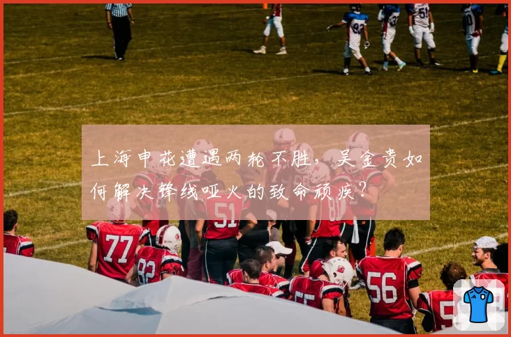 上海申花遭遇两轮不胜，吴金贵如何解决锋线哑火的致命顽疾？