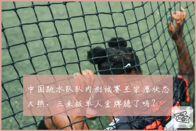 中国跳水队队内测试赛王宗源状态火热，三米板单人金牌稳了吗？