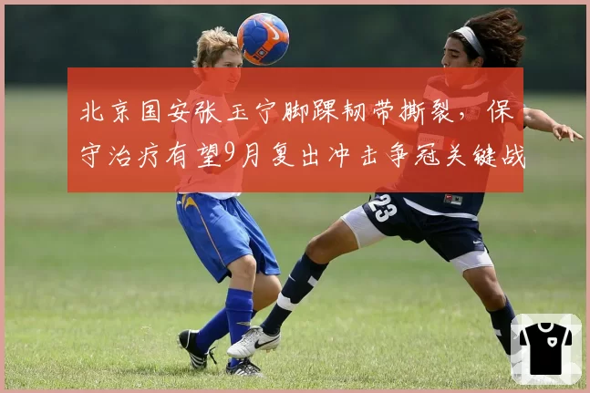北京国安张玉宁脚踝韧带撕裂，保守治疗有望9月复出冲击争冠关键战